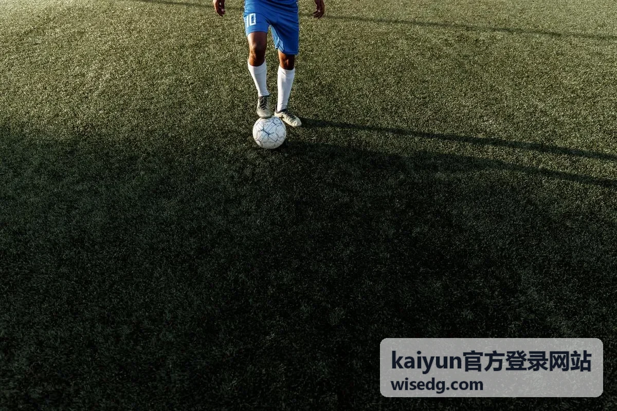 kaiyun官方登录网站相关内容封面图