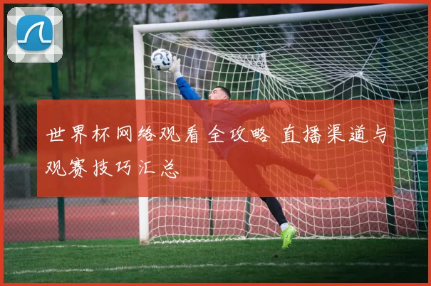 世界杯网络观看全攻略 直播渠道与观赛技巧汇总