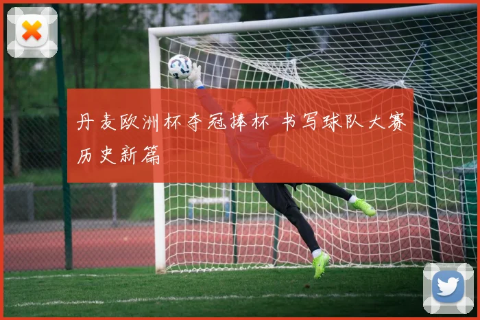 丹麦欧洲杯夺冠捧杯 书写球队大赛历史新篇